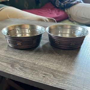 Cat Food And Water Bowls